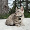Theo - Image 6