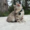 Theo - Image 3
