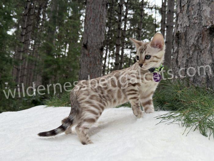 Emmie