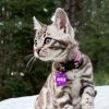 Abbie - Image 10