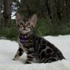 Khloe - Image 2