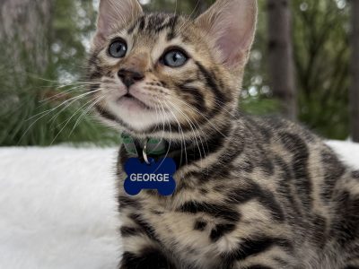 George