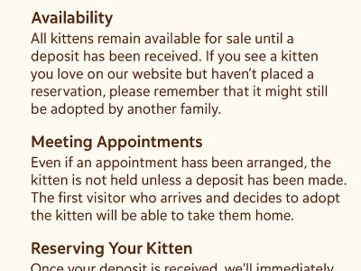 Thank You for Understanding This policy helps us ensure that every kitten finds a loving home as quickly as possible, and that the adoption process remains fair and transparent for everyone. We sincerely appreciate your understanding and look forward to helping you find your perfect furry friend!