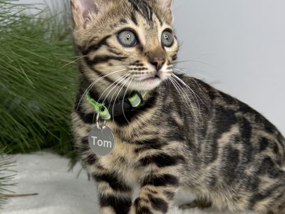Tom